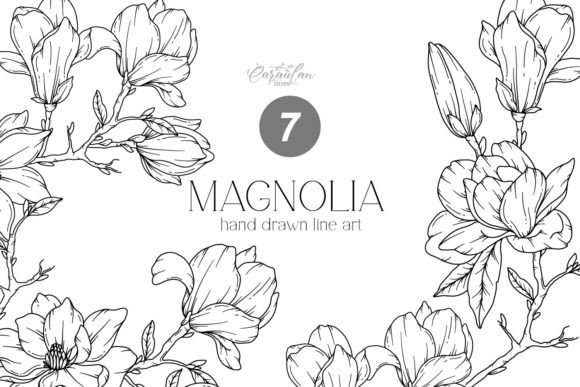 Download MAGNOLIA LINE DRAWING, Floral Line Art - Floral line art Collection