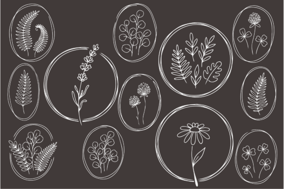 Download Botanical Floral Line Art Frames Bundle - Floral line art Collection