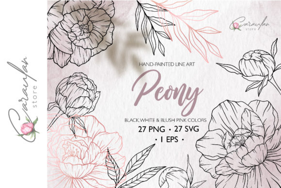 Download Peonies Line Drawing, Floral Line Art - Floral line art Collection