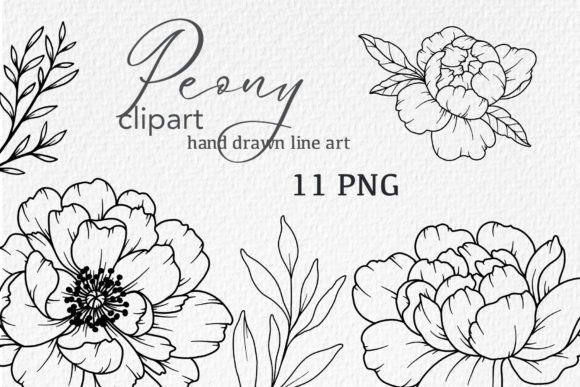 Download Peonies LINE DRAWING, Floral Line Art - Floral line art Collection