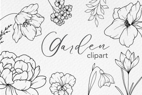 Download FLOWERS LINE DRAWING, Floral Line Art - Floral line art Collection
