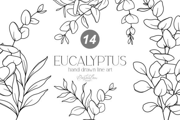 Download EUCALYPTUS LINE DRAWING, Floral Line Art - Floral line art Collection