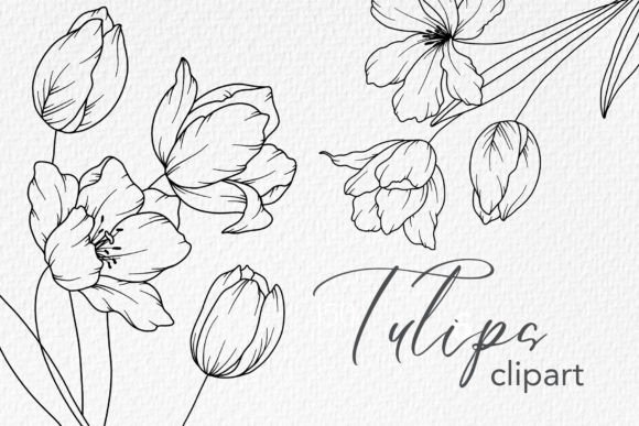 Download Tulips Line Drawing, Floral Line Art - Floral line art Collection